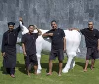 Вилла Issi, Персонал отеля