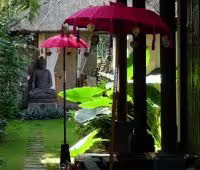 Вилла Bamboo, Сад деталь